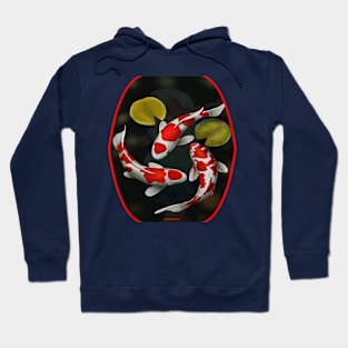 fish, cute fish, fish colorful, fish coral, beatiful fish Hoodie